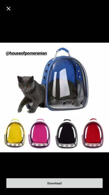 Pet carrier tas ransel jinjing anjing kucing dog cat kennel box travel portable tranparan0