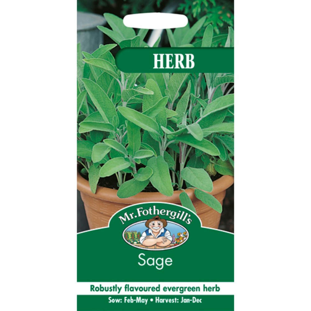 Benih Mr. Fothergills SAGE