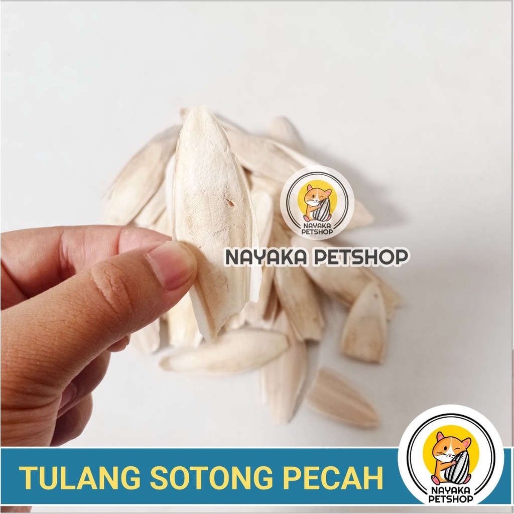 Tulang Sotong Pecah Kalsium Mineral Burung Gigitan Hamster Alami Gnawing Stone Natural Asah Gigi Dental Care