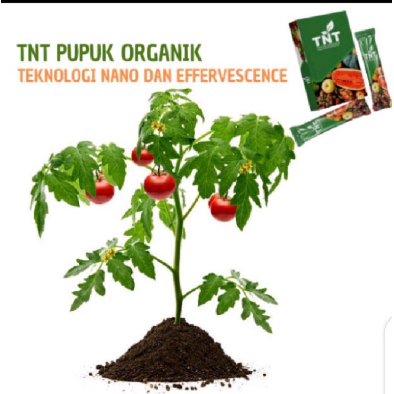 Pupuk TNT organik tekhnologi nano