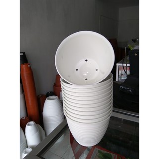  Pot  Tanaman dan Bunga  Plastik  Putih  Tawon 15 cm Shopee  