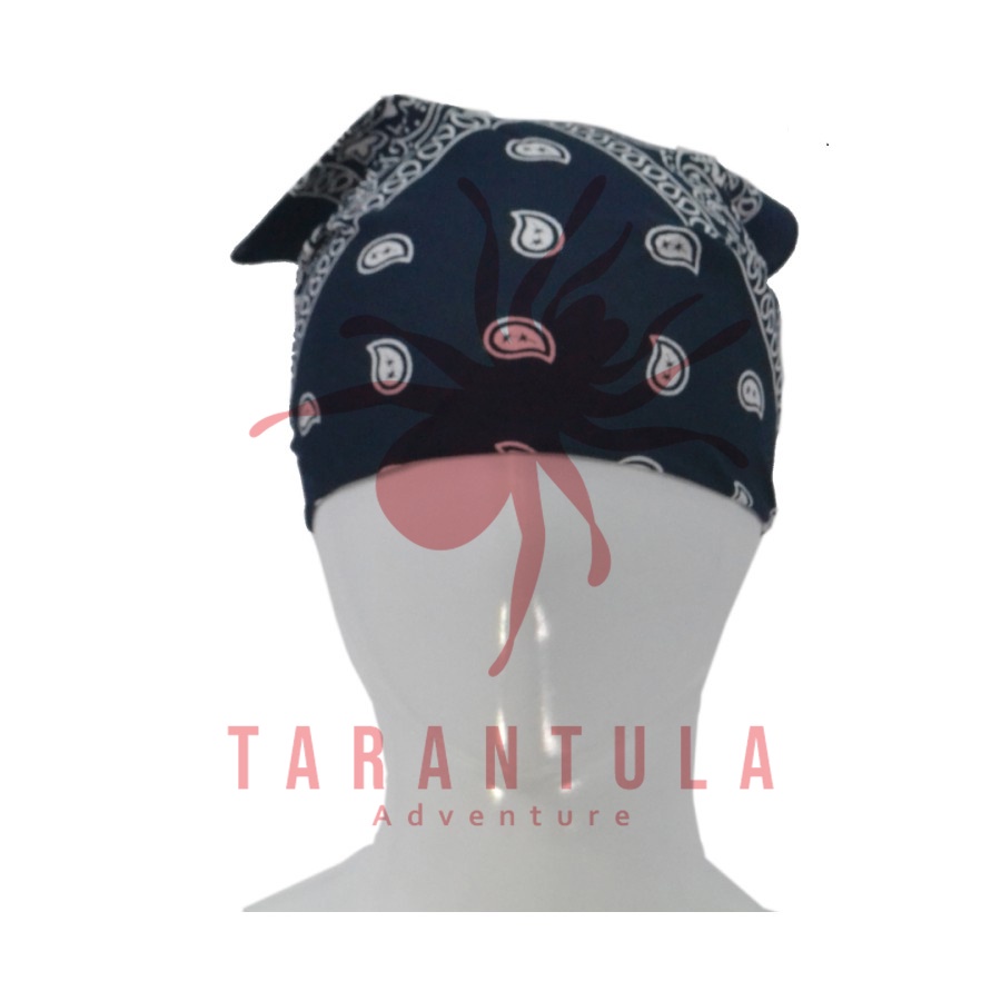 Mount trek - Bandana