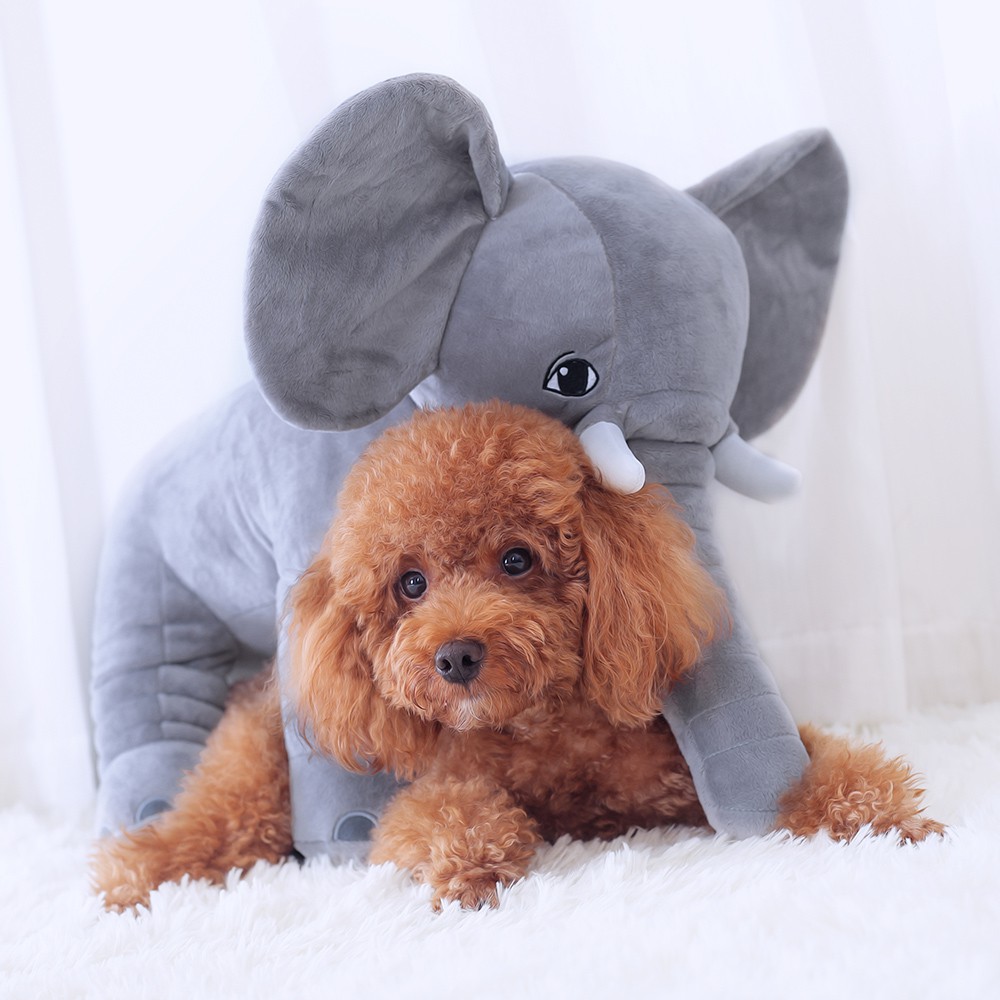 Boneka Plush Anjing Labrador Besar Shopee Indonesia