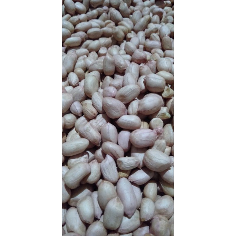 

Kacang Tanah 1 Kg