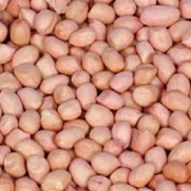 

Kacang Tanah 250gr