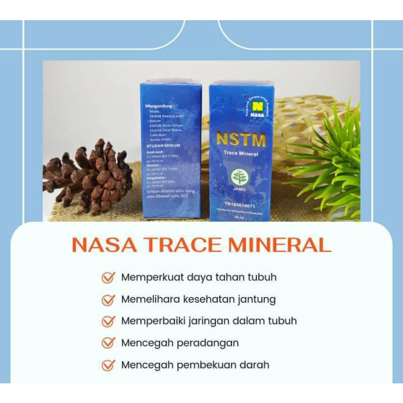NSTM (NASA Trace Mineral)