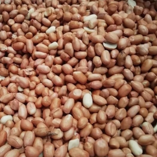 Kacang tanah 500gram