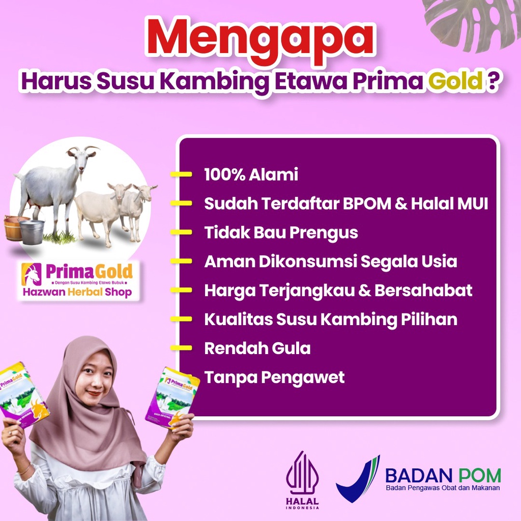 Prima Gold dan Golden Goat Susu Kambing Etawa Asli, Harga Murah dan Berkualitas, isi 4 x 200gram Susu Etawa Bubuk Bantu Kuatkan Tulang, atasi nyeri sendi, nyeri lutut, tulang keropos dan cegah syaraf kejepit. Bagus untuk kesehatan paru-paru dan pernapasan