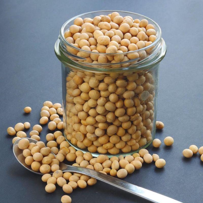 

Kacang Kedelai Impor Amerika