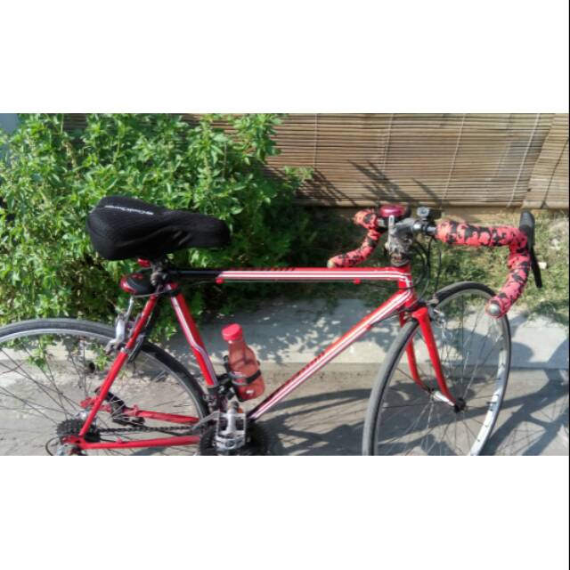 Sepeda Balap roadbike istimewa terawat second