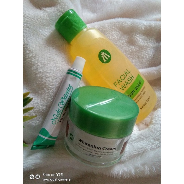 Salep flek liz skincare/salep liz/pemutih malam/cream flek