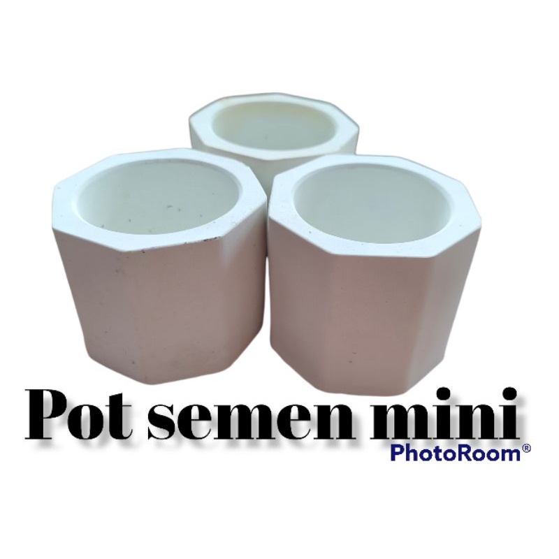 pot semen putih kaktus sukulen