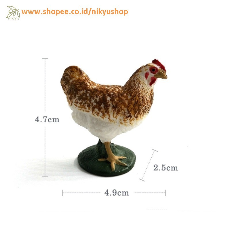 45 Gambar Hewan Ayam Betina HD Terbaru