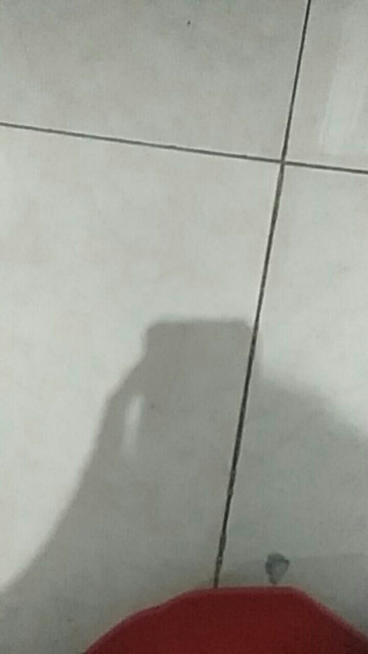 Pembuka Botol Bentuk Tengkorak Bahan Stainless Steel Untuk Kostum Halloween