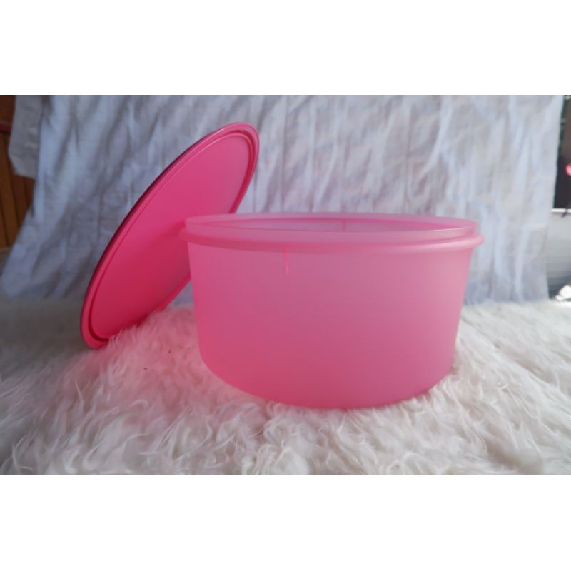 Tupperware Carry all canister