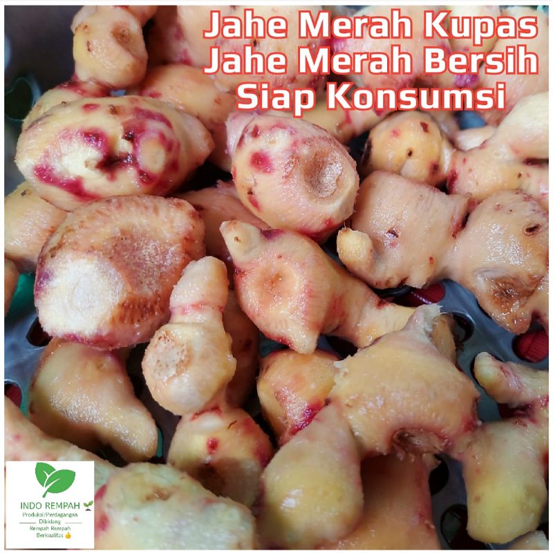 

Jahe Merah Kupas / Jahe Merah Bersih 1 Kg Fresh Siap Konsumsi