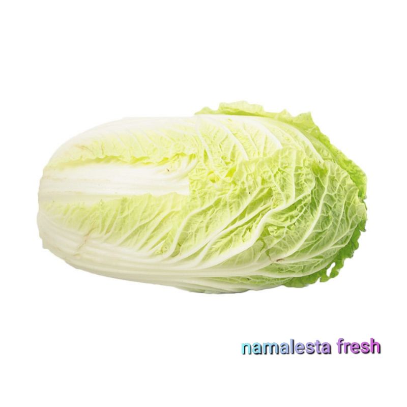 

Sawi Putih-namafresh
