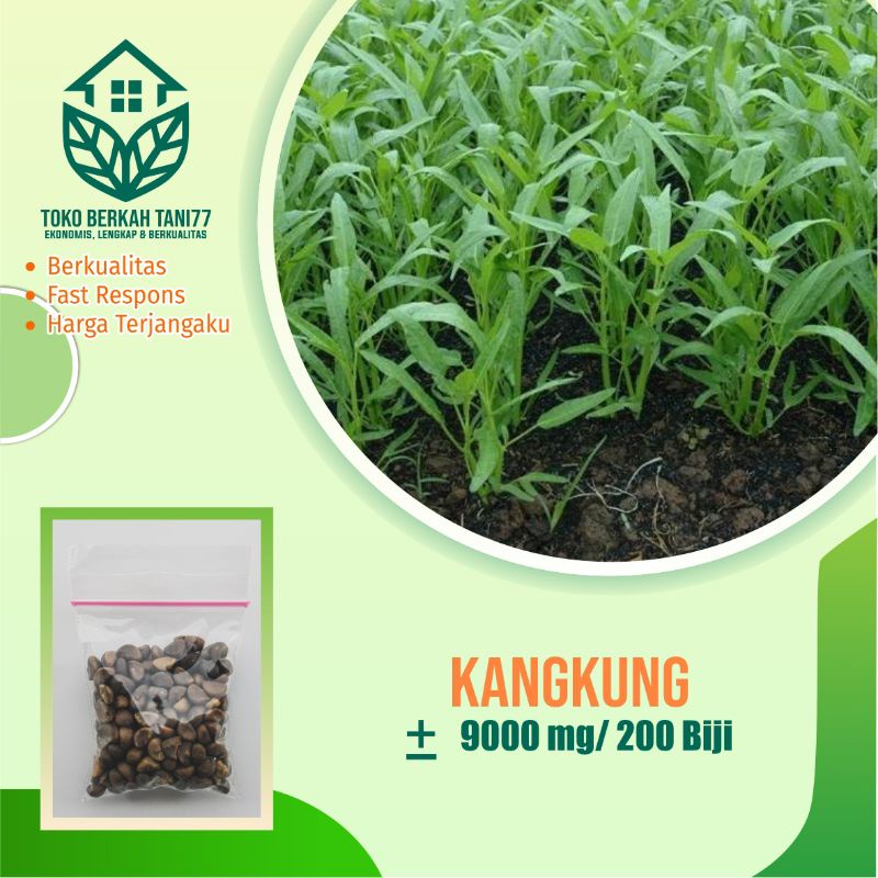 BENIH SAYURAN UNGGUL TERLENGKAP TERJANGKAU BIBIT KUBIS TOMAT SAWI TERONG CABE BUNCIS BAYAM KANGKUNG-Kangkung