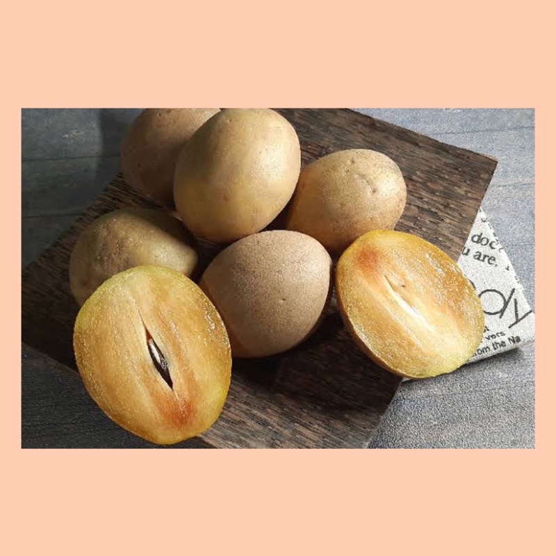 

Sawo / buah sawo madu manis