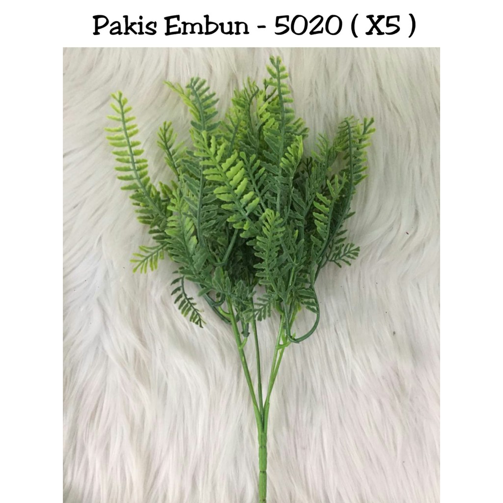 daun pakis aembun/pakis artificial