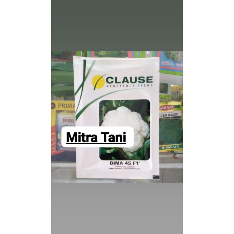 BENIH BIJI BUNGA KOL BIMA 45 F1 CLAUSE / ROO SO 45 ATAU FORMULA
