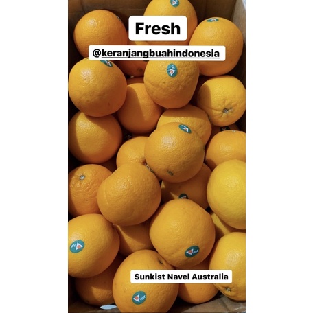 

Buah Segar Sunkist Navel Australia, Fresh Fruit Jeruk Navel