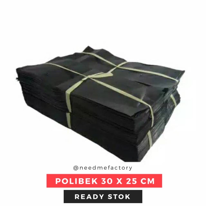 PLASTIK POLYBAG 30 x 25 CM