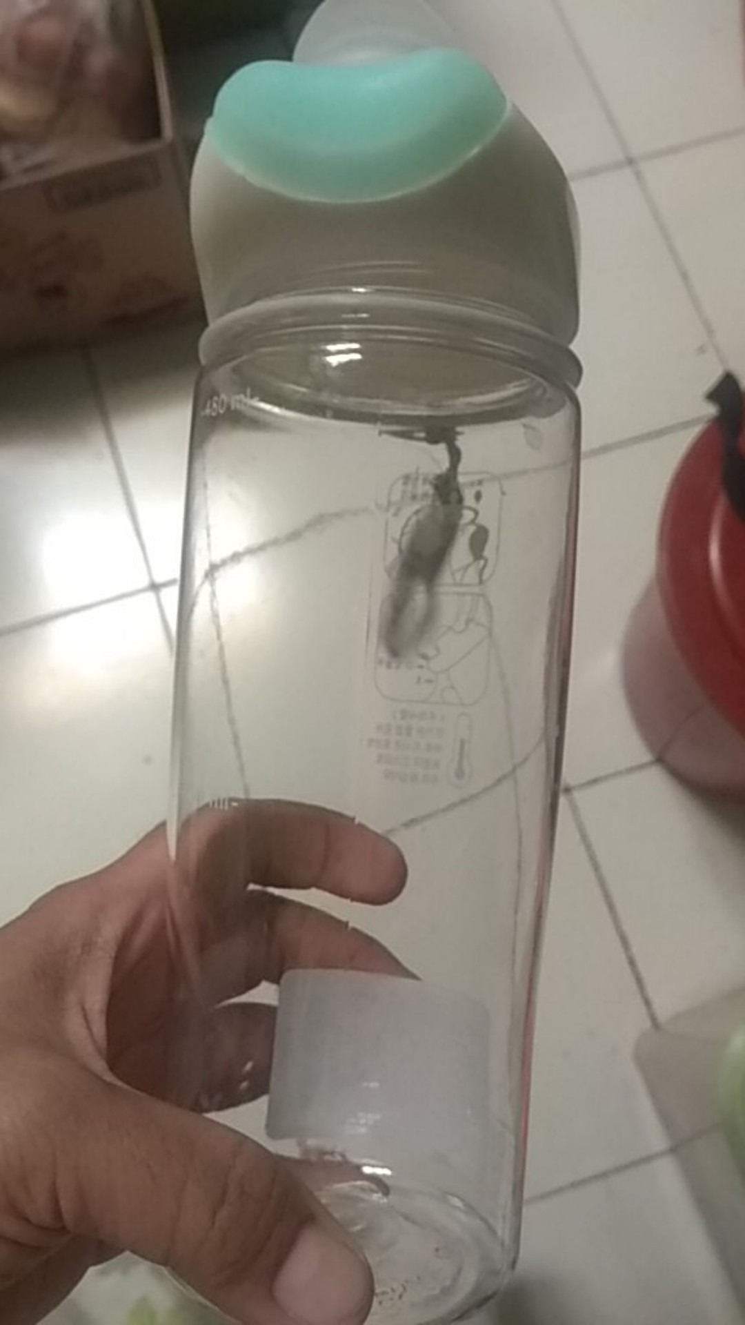 Botol Minum Sport Bpa Free / Botol Minum Esloe / Botol Minum 500 Ml