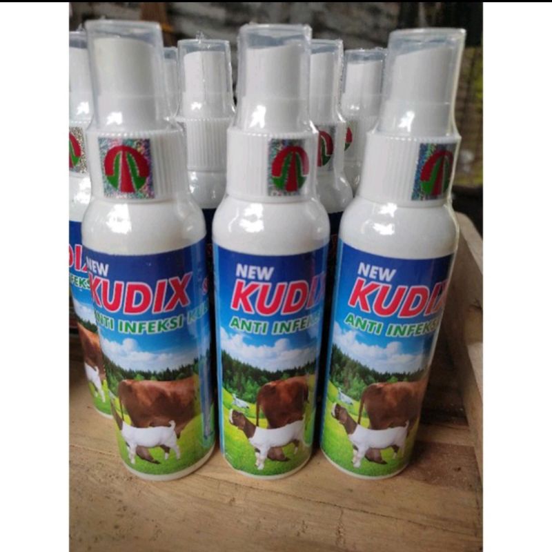 KUDIX Spray Anti Infeksi Kulit