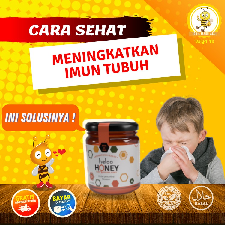 

Madu Asli Murni Raw Honey Kualitas Premium Natural Organik Untuk Immune Booster