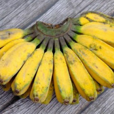 

pisang kepok matang - pisang goreng