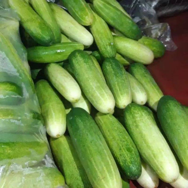 

Timun Super/500gr