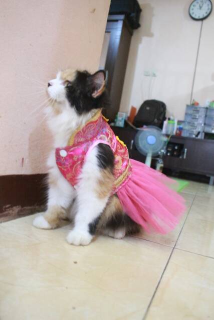 Dress chongsam tutu imlek 2019 untuk kucing dan anjing size S M L XL