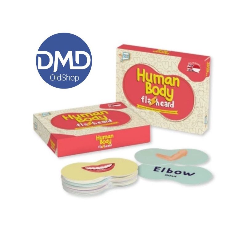Human Body Flash Card Mainan Anak Flash Card Human Body Promo