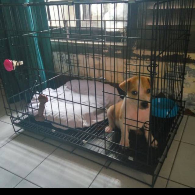 Kandang anjing/kandang kucing besi tebal