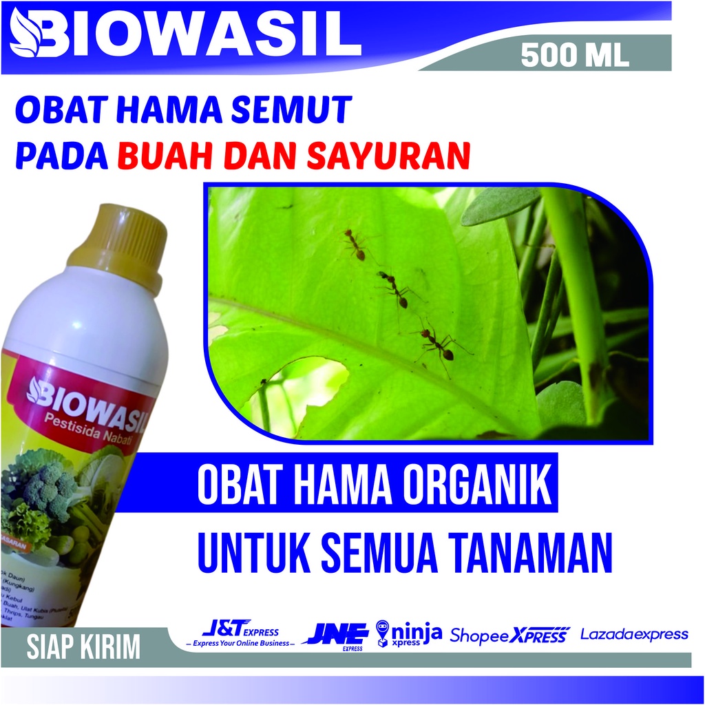 Obat Hama Semut Untuk Tanaman - BIOWASIL Obat Pembasmi Hama Semut - Obat Pestisida Hama Semut - Pest