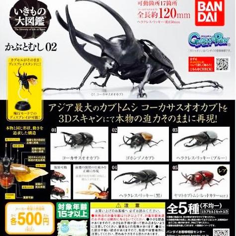 Gashapon kabutomushi beetle RANDOM SEGEL bandai - dango kabuto mushi