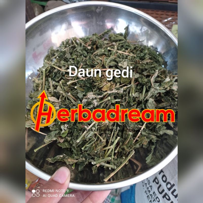 

50 GRAM DAUN GEDI ABELMOSCHUS MANIHOT EDIBLE HIBISCUS PO FAI LAGIKUWAY SAYOR YONDOK DAUN BLENDER SIMPLISIA KERING DRIED PREMIUM ORGANIK