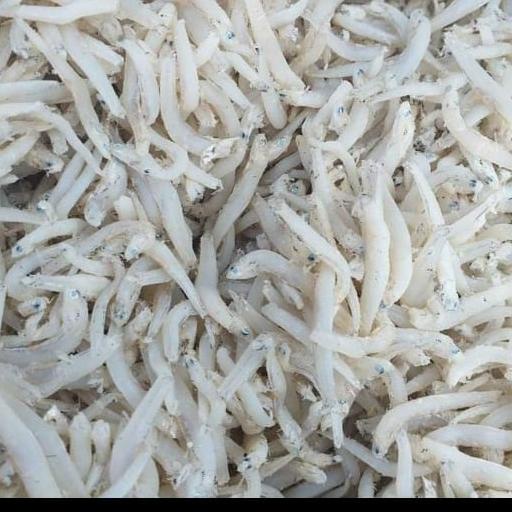 

IKAN TERI TOGE KASAR(1KG) FCDF6565