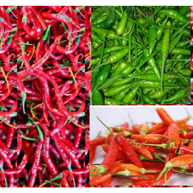 

Cabe Campur