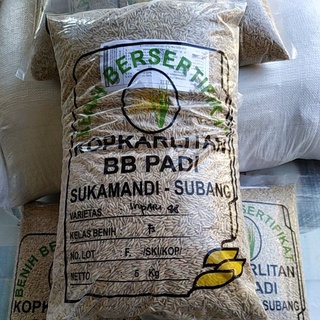 Jual Benih Padi Bersertifikat Inpari Fs Kg Shopee Indonesia