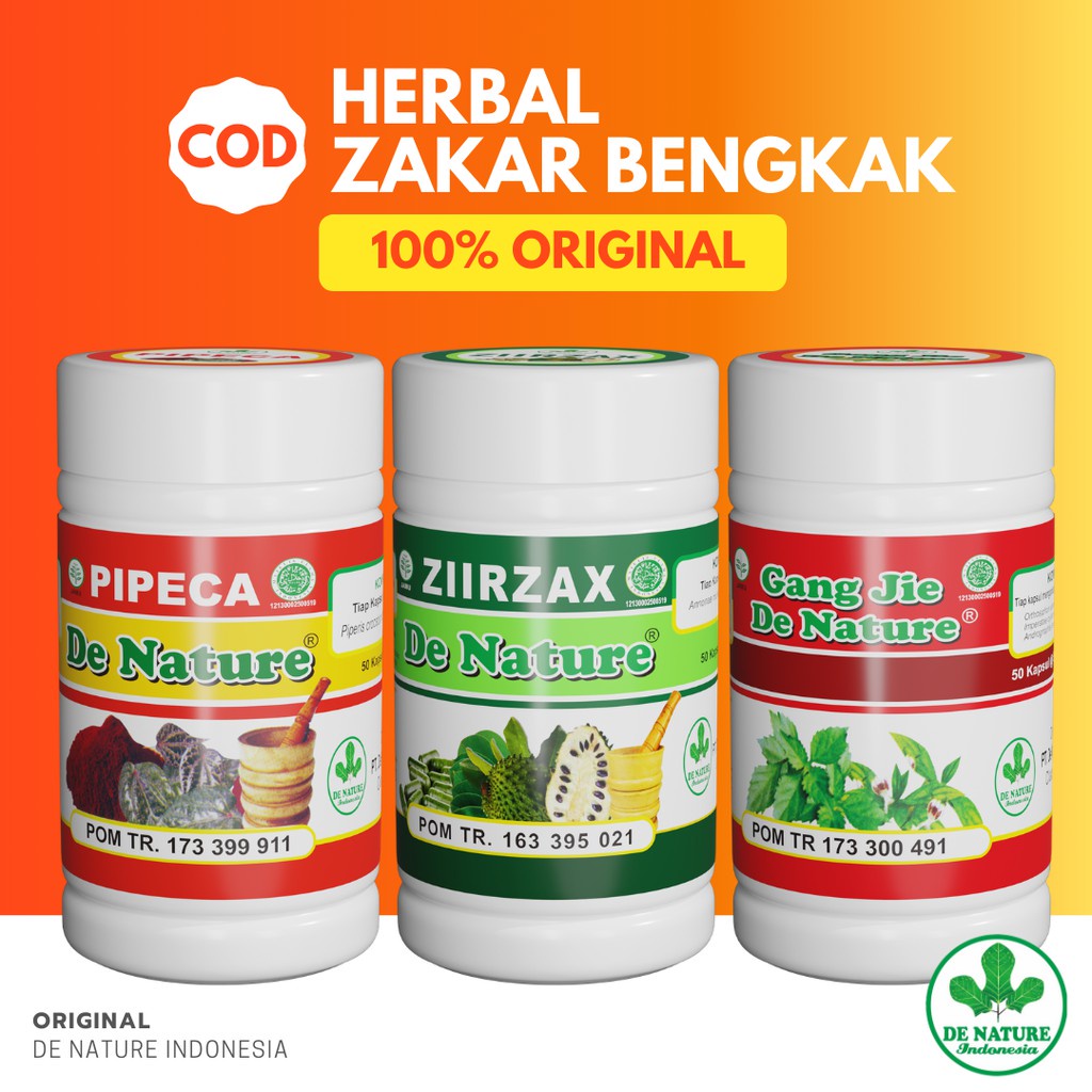 Obat Varikokel Testis Buah Zakar Bengkak Herbal De Nature