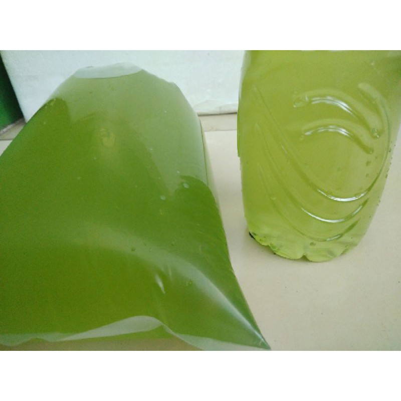 green water alami/pakan kutu air(1LITER)