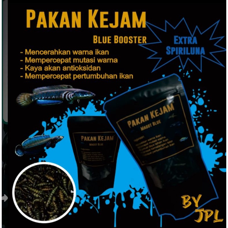 Magot kering Bsf extra spirulina dan pelet blue bosster