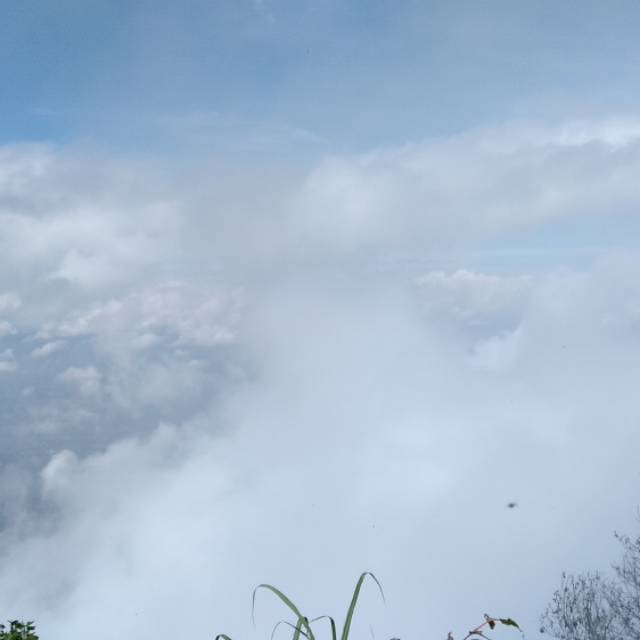 nuralim.angga.wijaya.125