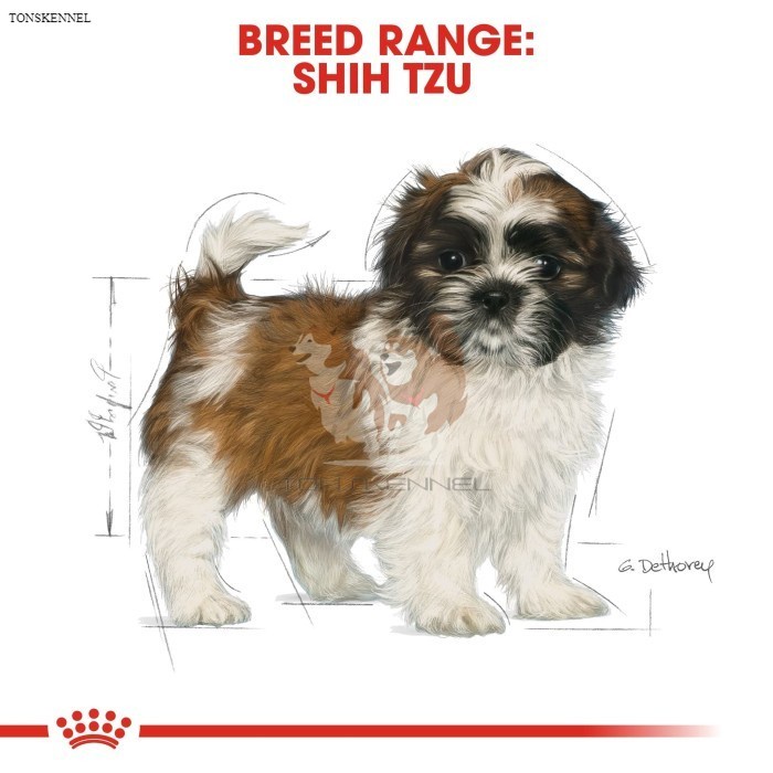 Royal Canin Shih Tzu Junior Makanan Anak Anjing Dry 1,5kg rc ShihTzu