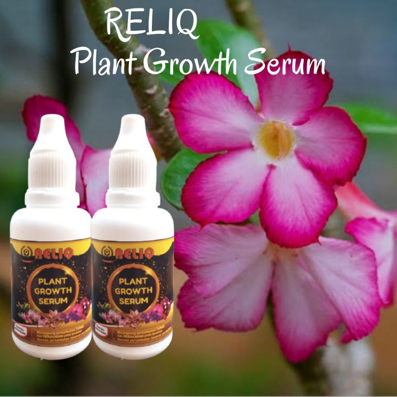 Hormon Penumbuh Tunas Aglonema, BISA COD Hormon Penumbuh Akar dan Tunas