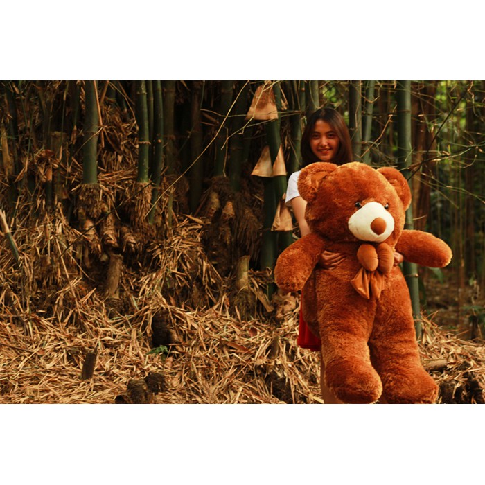 Boneka Beruang Teddy Bear Cokelat Jumbo 120 CM Besar