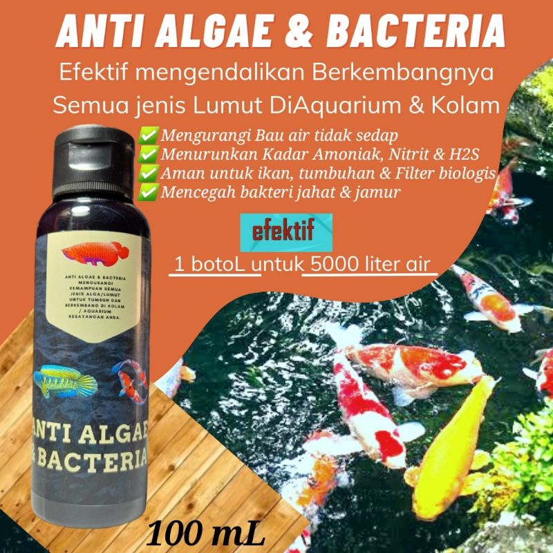 ANTI ALGAE Penghilang Lumut dan Bakteri merugikan untuk 5000 liter air Aquarium atau kolam