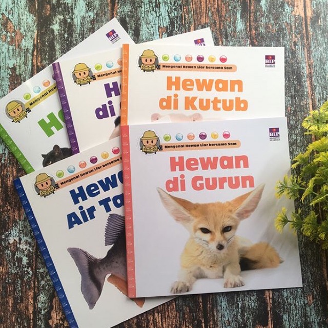 Seri Mengenal Hewan Liar Bersama Sam Hewan Di Kutub Di Gunung